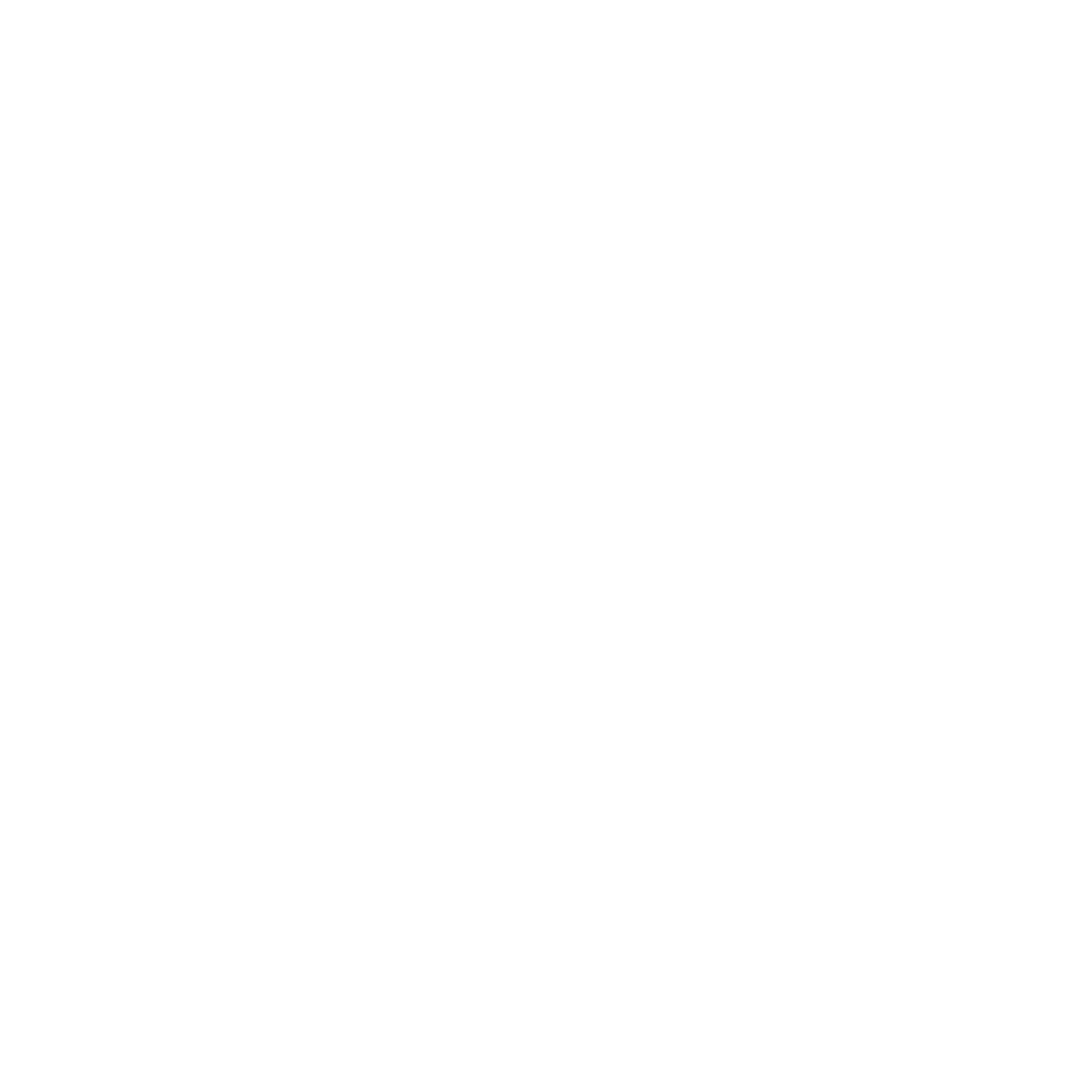 Mesh Festival
